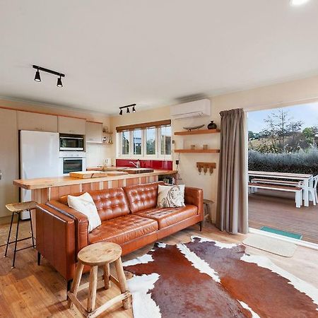 The Purple House - Ohakune Home With Spa Pool Exterior photo